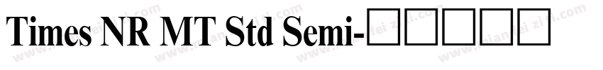 Times NR MT Std Semi字体转换